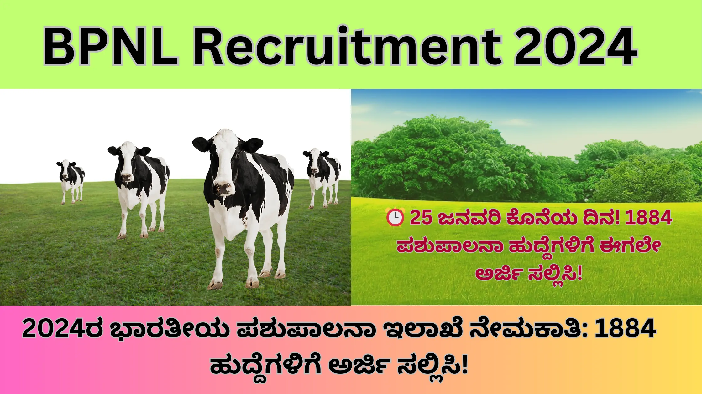 BPNL Recruitment 2024