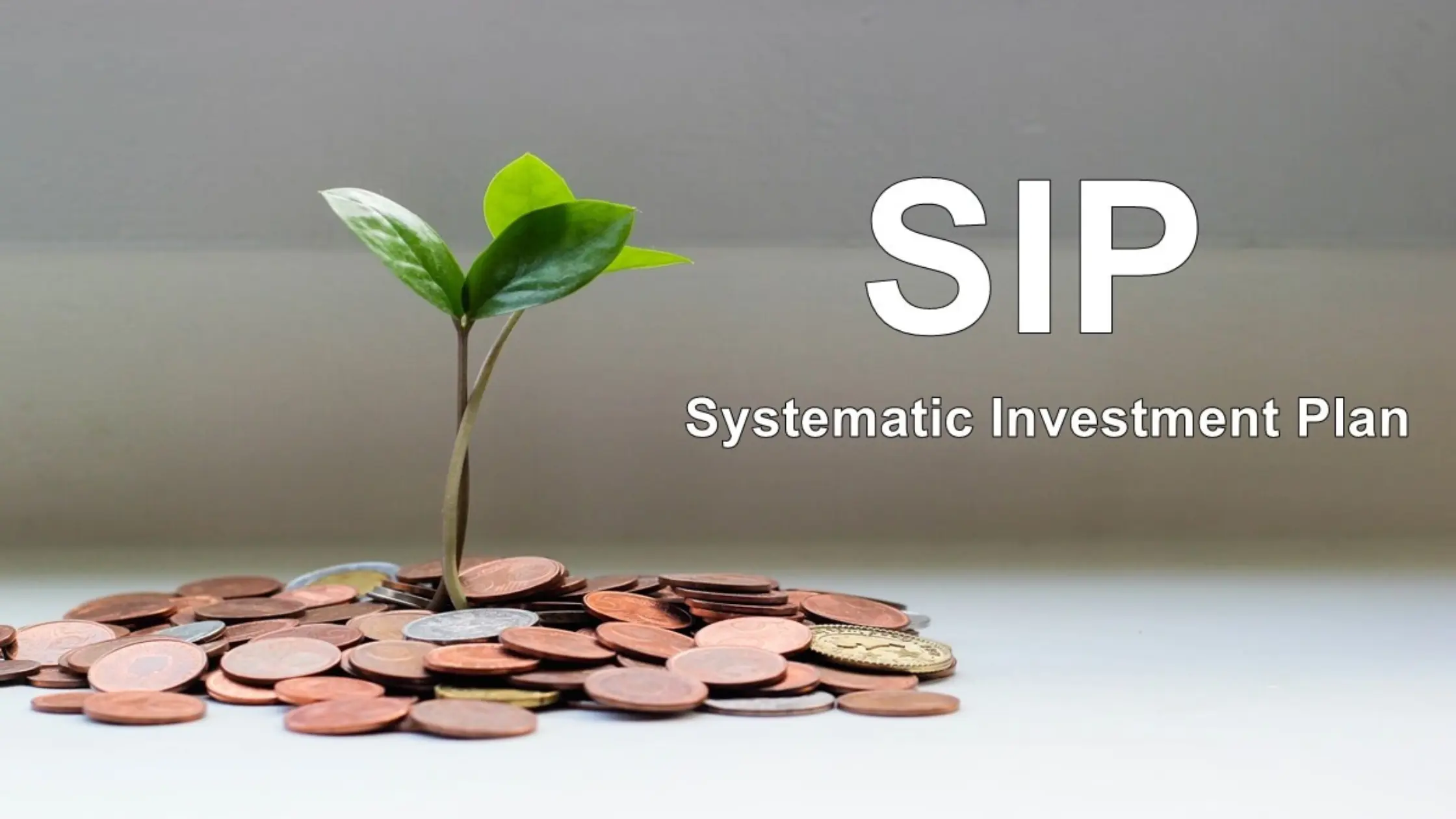 SIP investment Plan Details