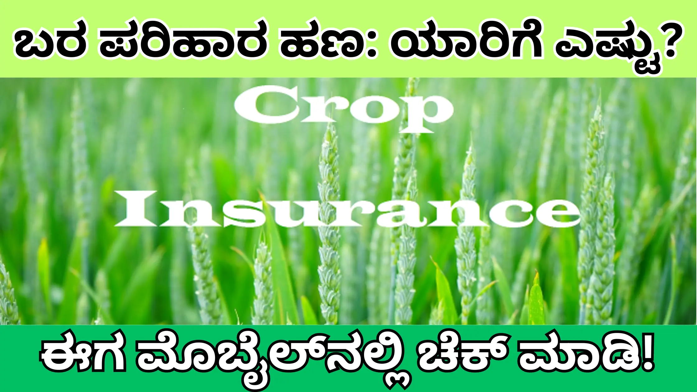 Crop insurance status