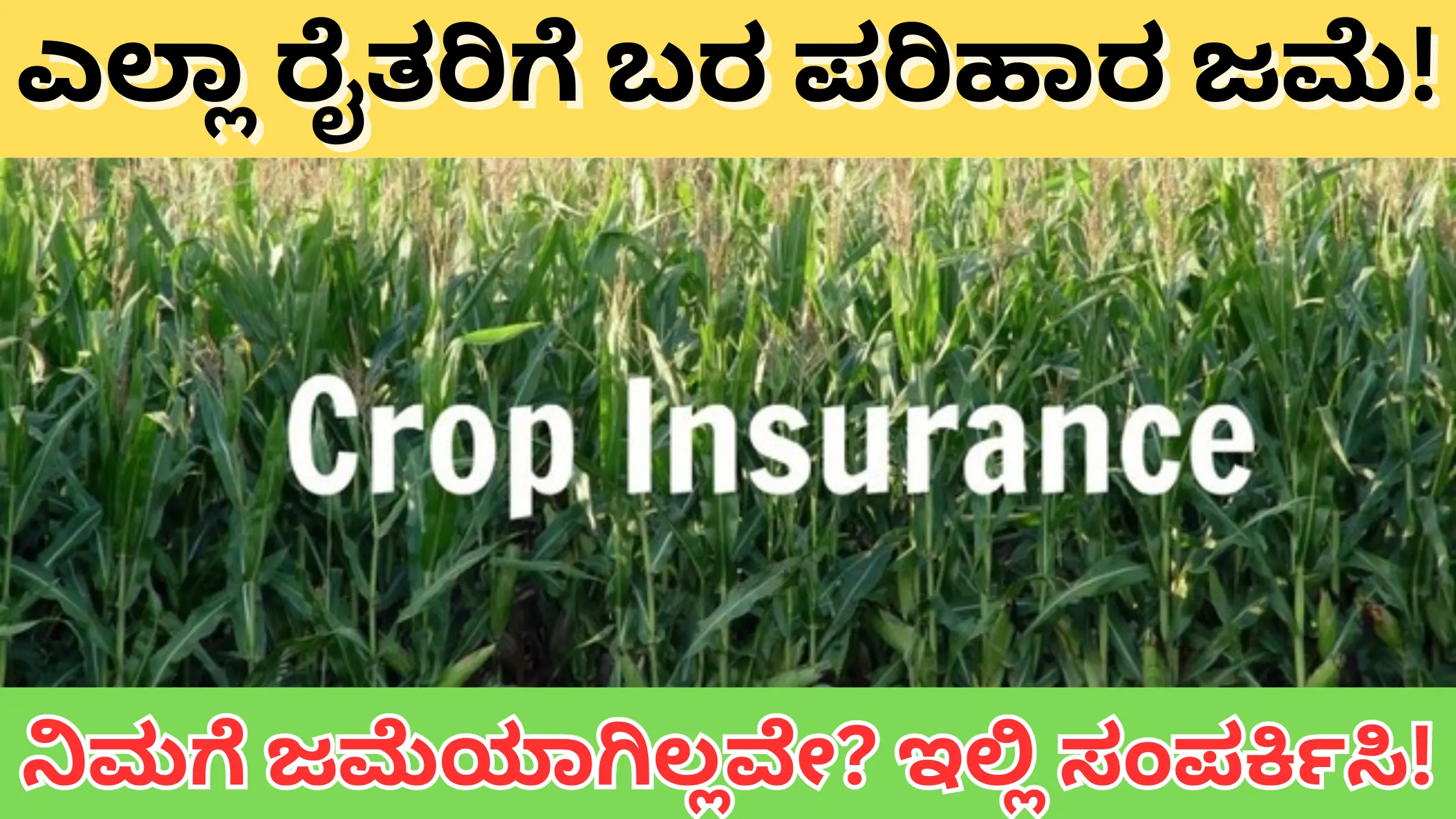 crop insurance Karnataka 2024