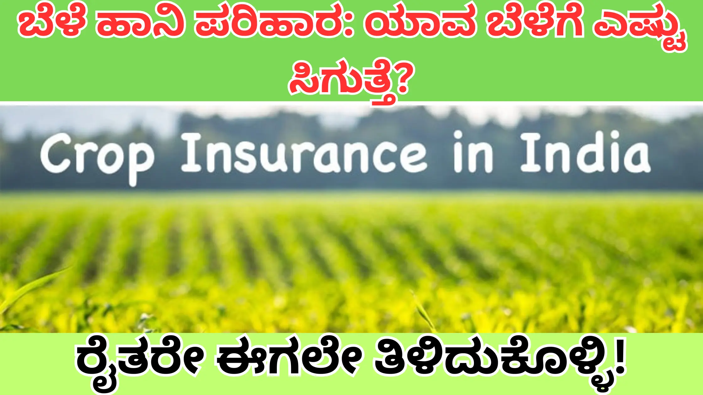 crop insurance credited