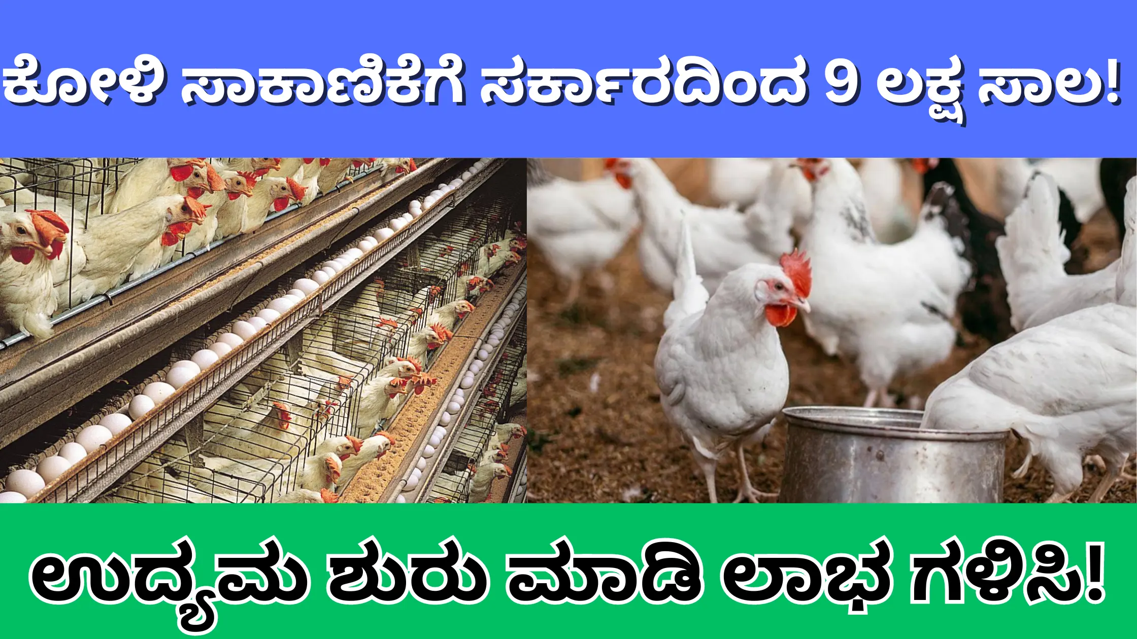 Poultry Farming Loan Scheme