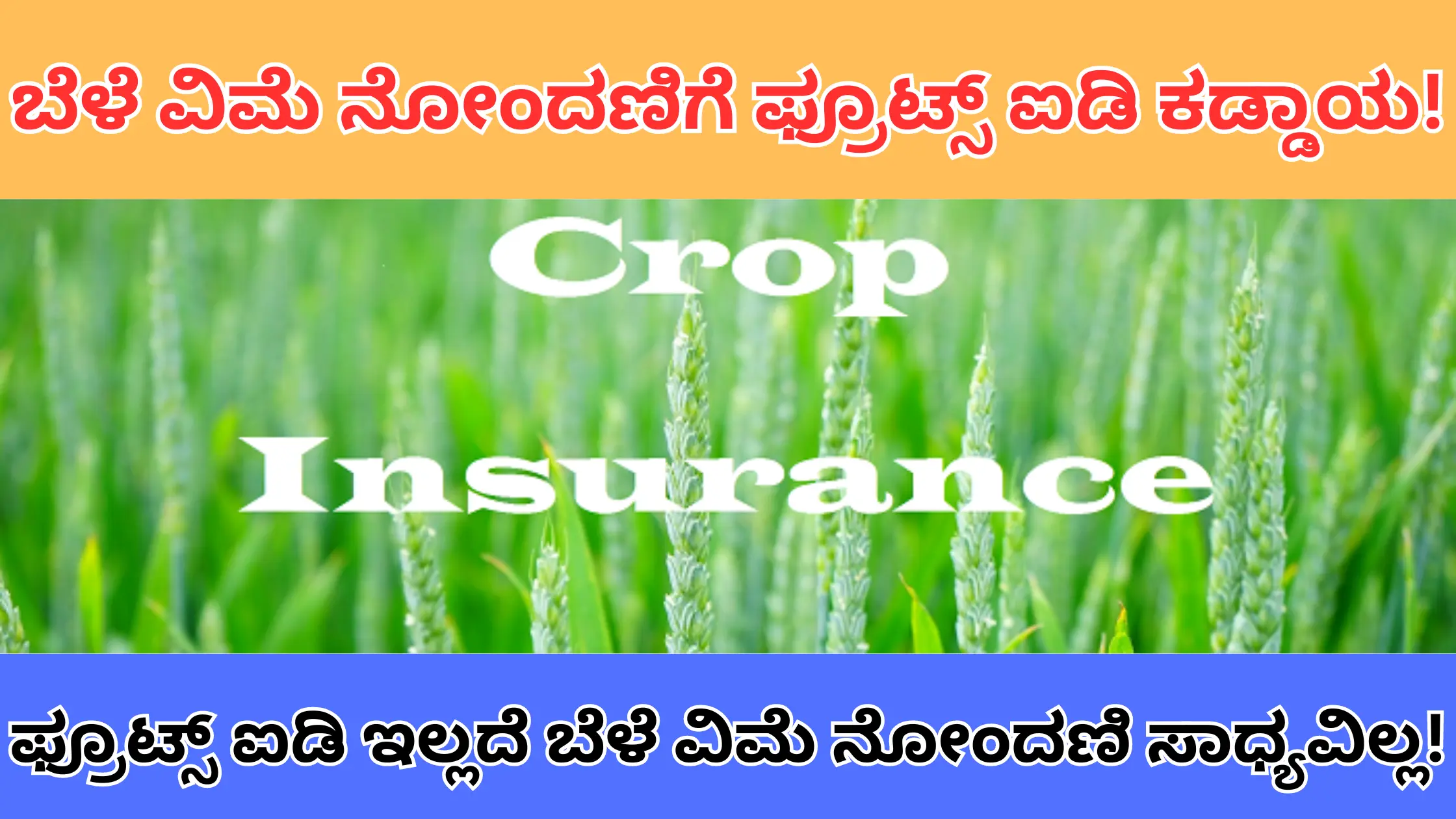 fruits id mandatory for crop insurance