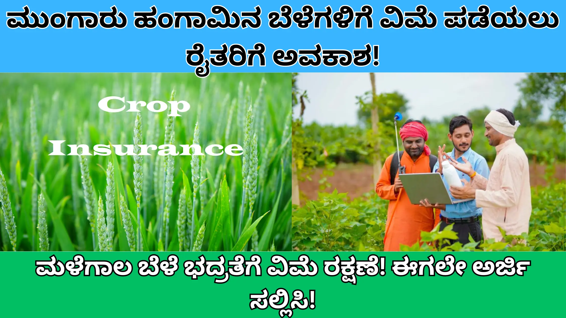 monsoon Crop Insurance Application