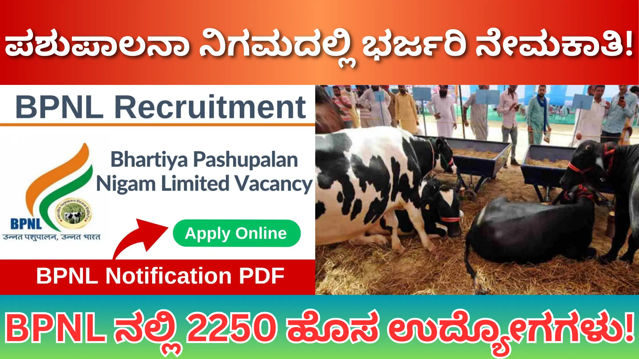 BPNL Recruitment 2024