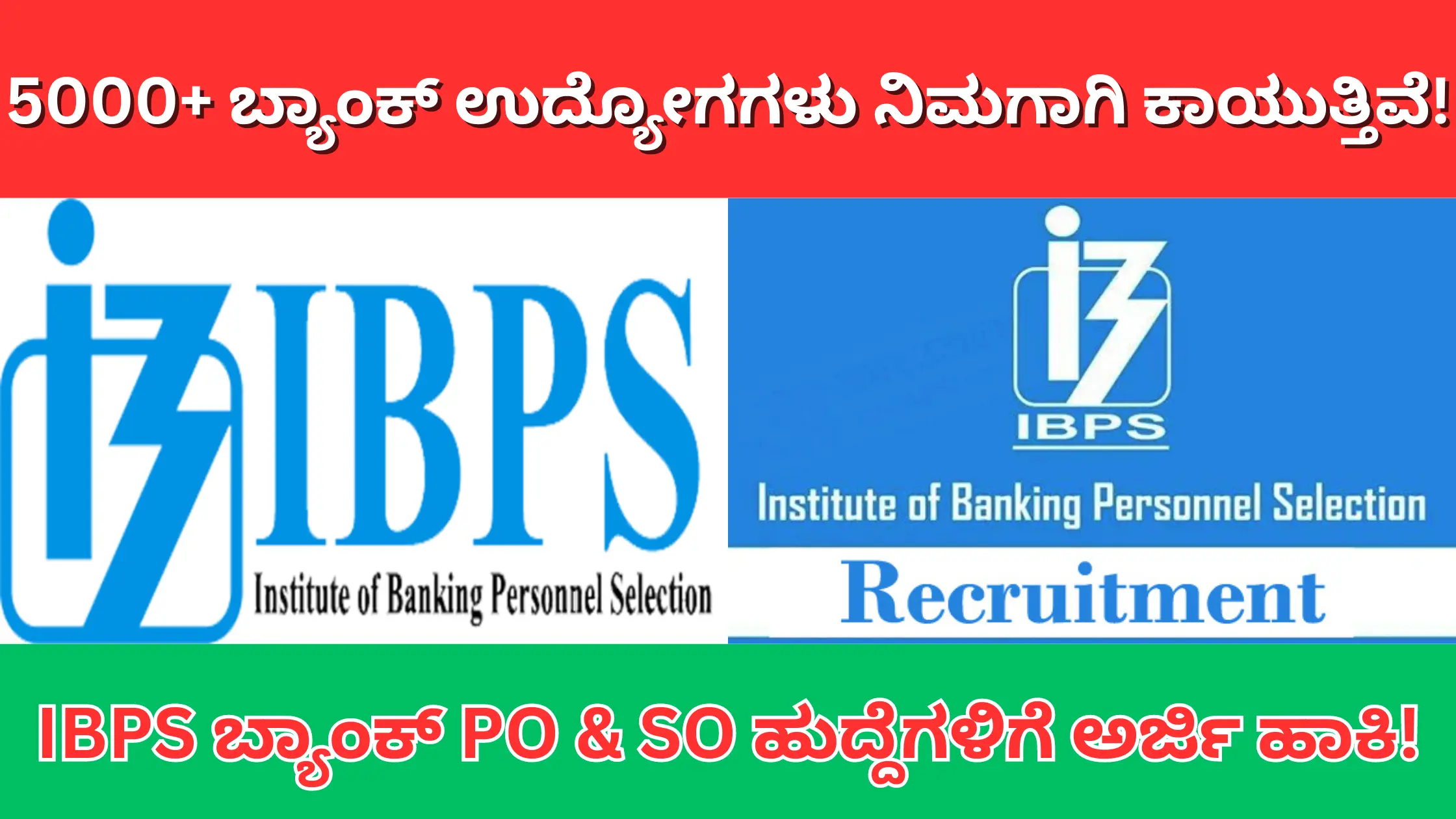 IBPS Recruitment